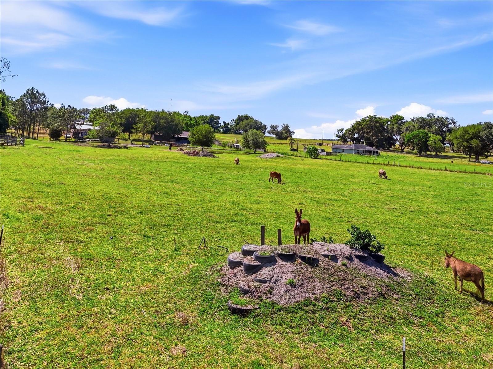 ACREAGE - Residential