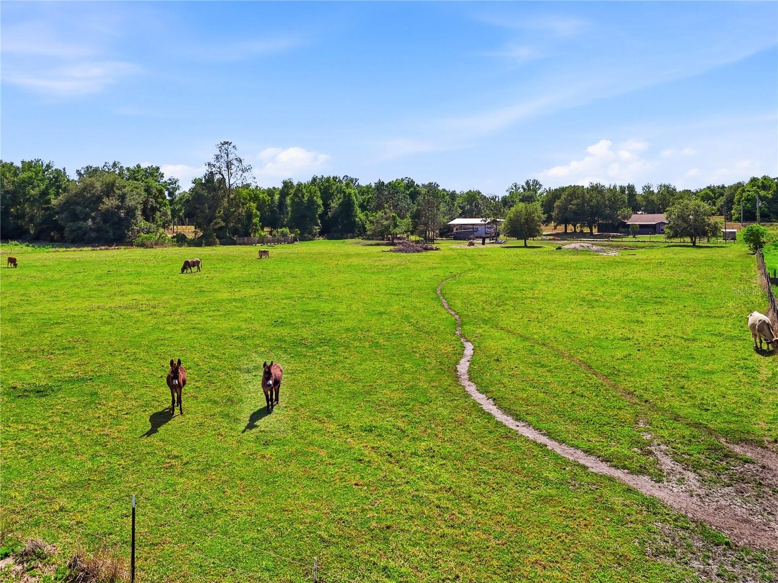 ACREAGE - Residential