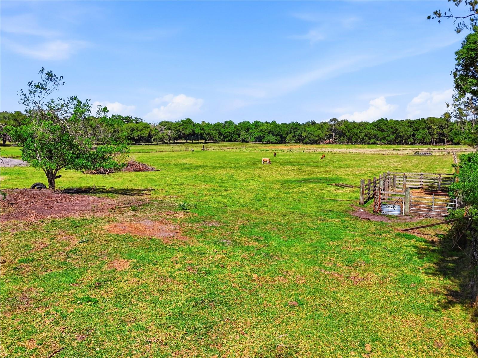 ACREAGE - Residential
