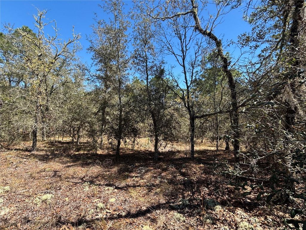 Photo of 0000 SW Hillcrest Avenue, Dunnellon, FL 34431 (MLS # OM721567)