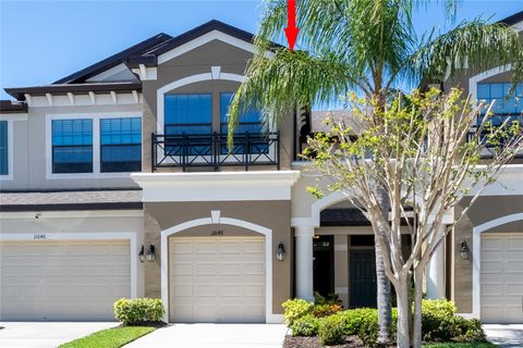 11648 CROWNED SPARROW LANE TAMPA FL 33626