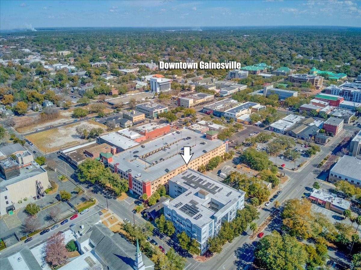 THE PALMS CONDO - Residential