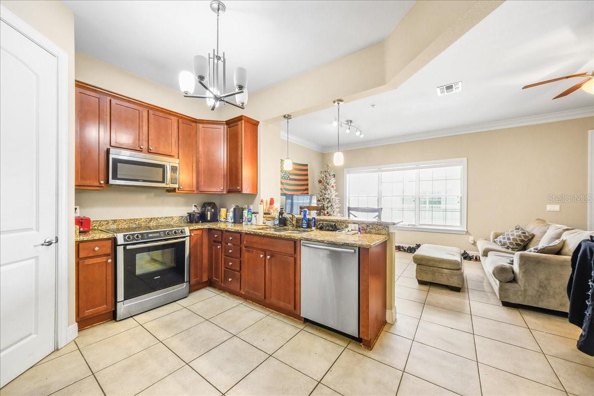 THE PALMS CONDO - Residential