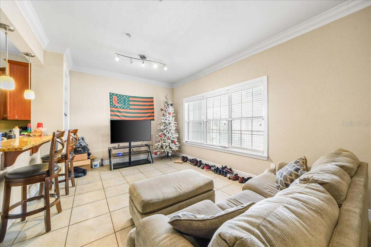 230 SW 2ND AVENUE 207