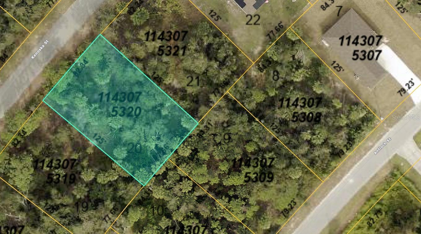 No HOAs with fees or deed restrictions or CDDs. Not on the North Port Scrub Jay list 02/11/25 please reconfirm during due diligence. North Port is the 7th largest land mass in Florida-the 110th largest in the country!! The growth and potential are absolutely amazing. Conveniently located to shopping, dining, parks, and all that up and coming North Port has to offer (where so much of the city is new and still being built!) including the new Braves Spring Training Stadium. Many beaches located within a 35 minute drive from this lot. New construction is everywhere you look and you can be part of the action. Information about local builders is available upon request. Also great for self directed IRAs, 401Ks and other investment portfolios.