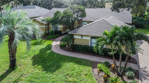 A home in PLANT CITY