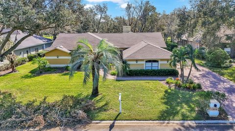 A home in PLANT CITY