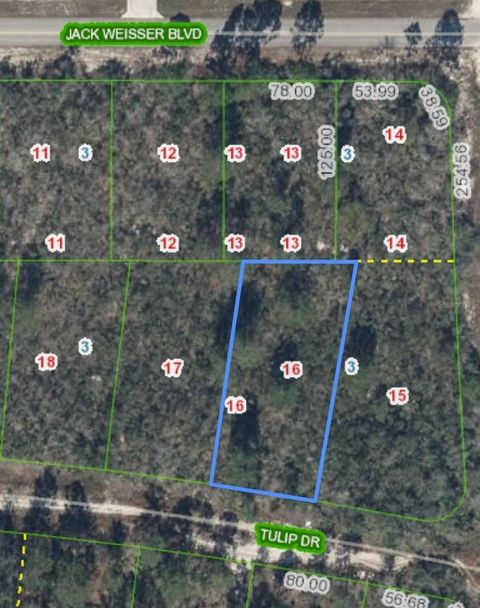 286 TULIP DRIVE LAKE PLACID FL 33852