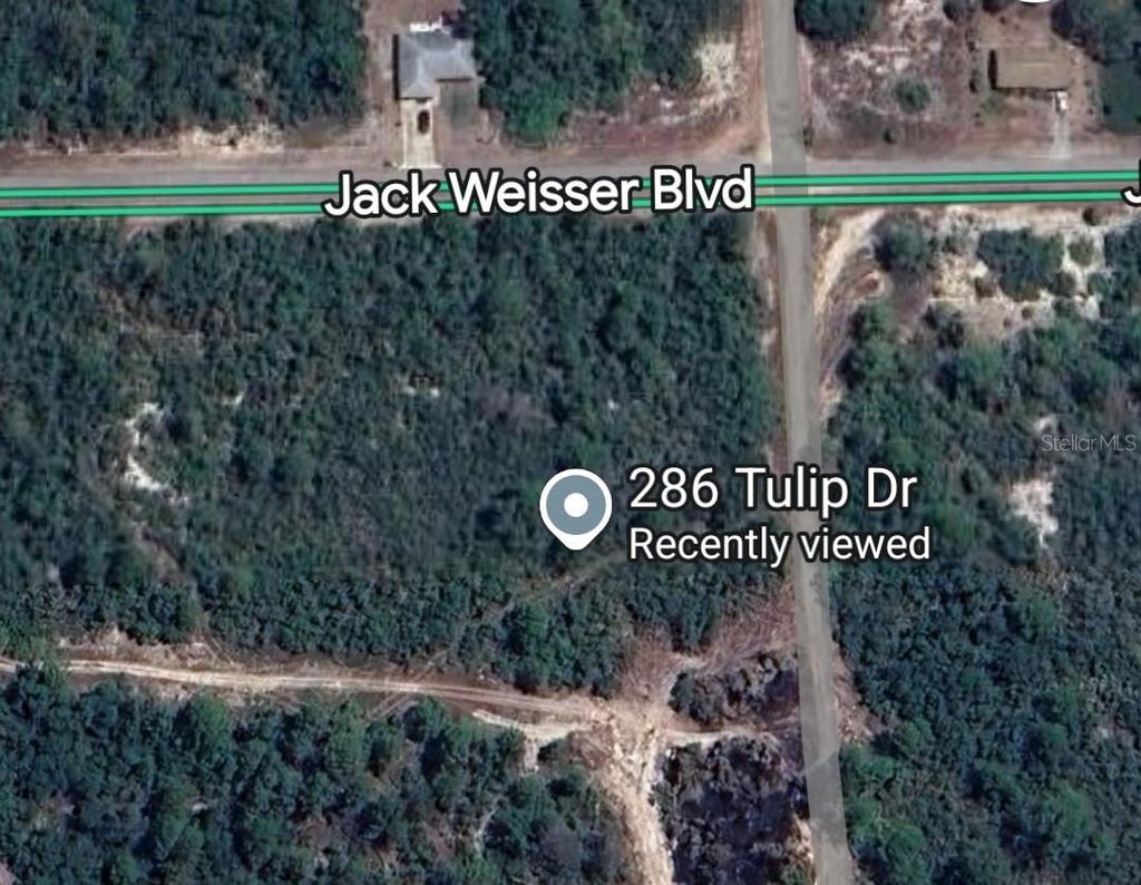 Photo of 286 Tulip Drive, Lake Placid, FL 33852 (MLS # P4936198)