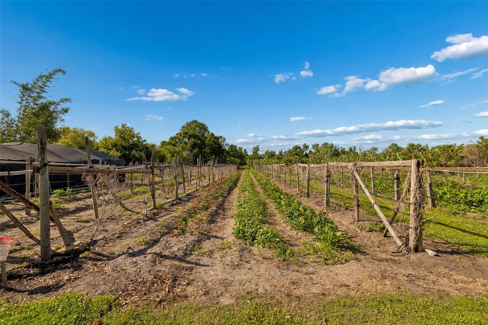 UNPLATTED - Residential