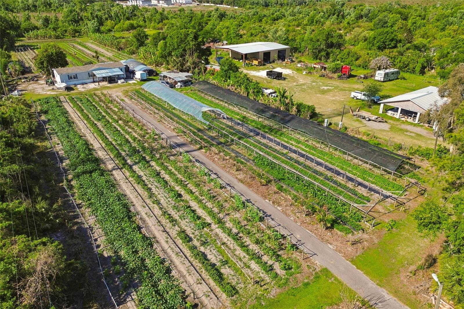 UNPLATTED - Residential