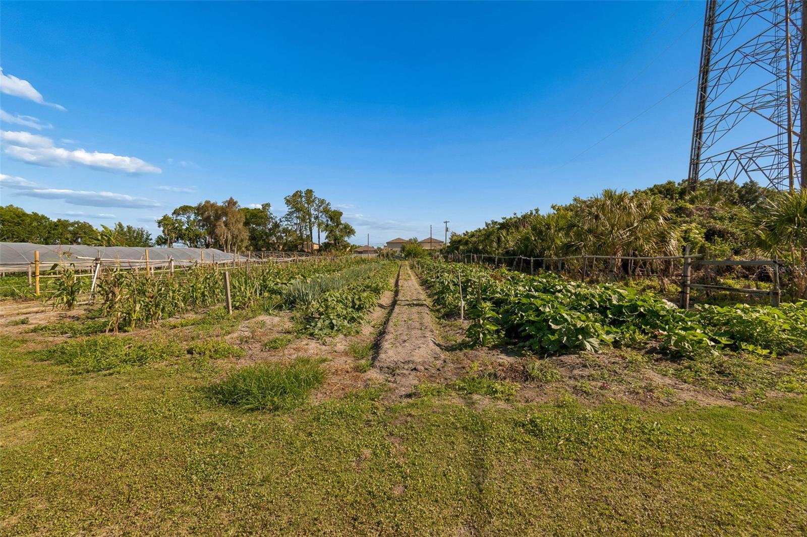 UNPLATTED - Residential