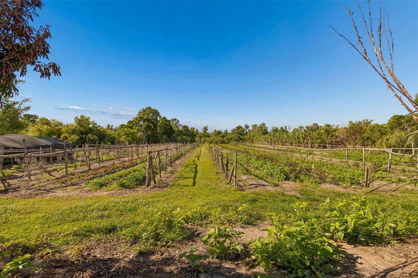 UNPLATTED - Residential