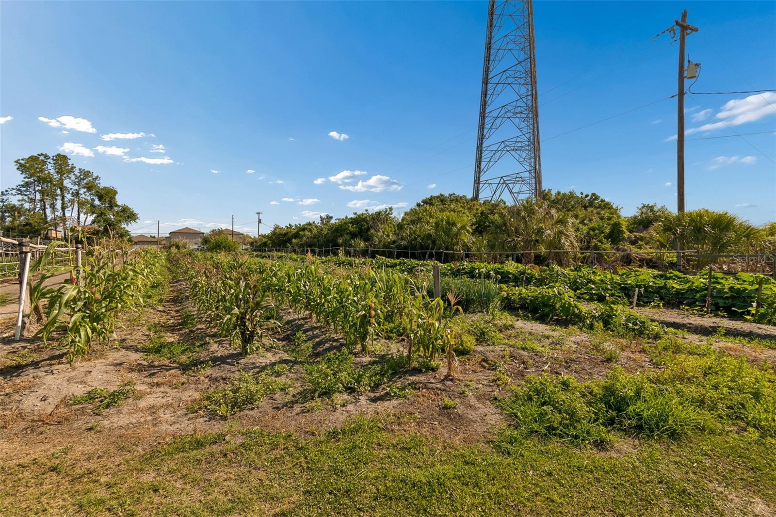 UNPLATTED - Residential