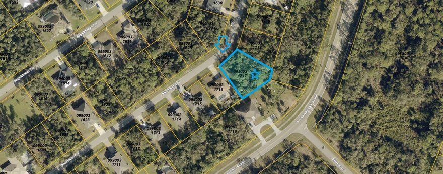 GREAT OVERSIZED LOT  not in a flood zone (12,956 sq ft) located in prime location!!!! Walking distance to the Cranberry Elementary School. Highly rated Sarasota County Public Schools. Discover the perfect opportunity to own a piece of North Port, FL, in the heart of a rapidly expanding area. Great vacant lot near famous Warm Mineral Spring Lake, a local gem and Wallen Park downtown area and the highly anticipated new Costco store. Great opportunity to buy and build in the heart of fast growing area of North Port, FL. This property is perfectly situated near shopping centers, a variety of dining options, beautiful parks, stunning beaches, and world-class golf courses. Easy access to U.S 41 and Interstate 75 for smooth commuting and travel. Enjoy the freedom of no HOA, Deed Restrictions, or CDD fees, making it an ideal canvas for your dreams. Don't let this incredible property pass you by. Seize the moment to invest in this exceptional opportunity. Your dream home or investment project awaits!