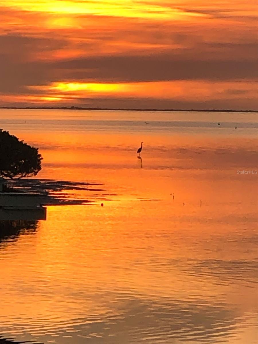 SEA BREEZE ISLAND - Residential