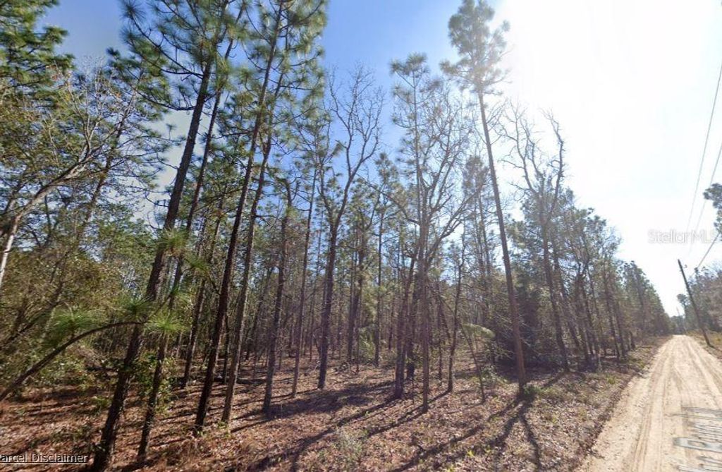 Photo of Hills Road, Melrose, FL 32666 (MLS # A4695418)