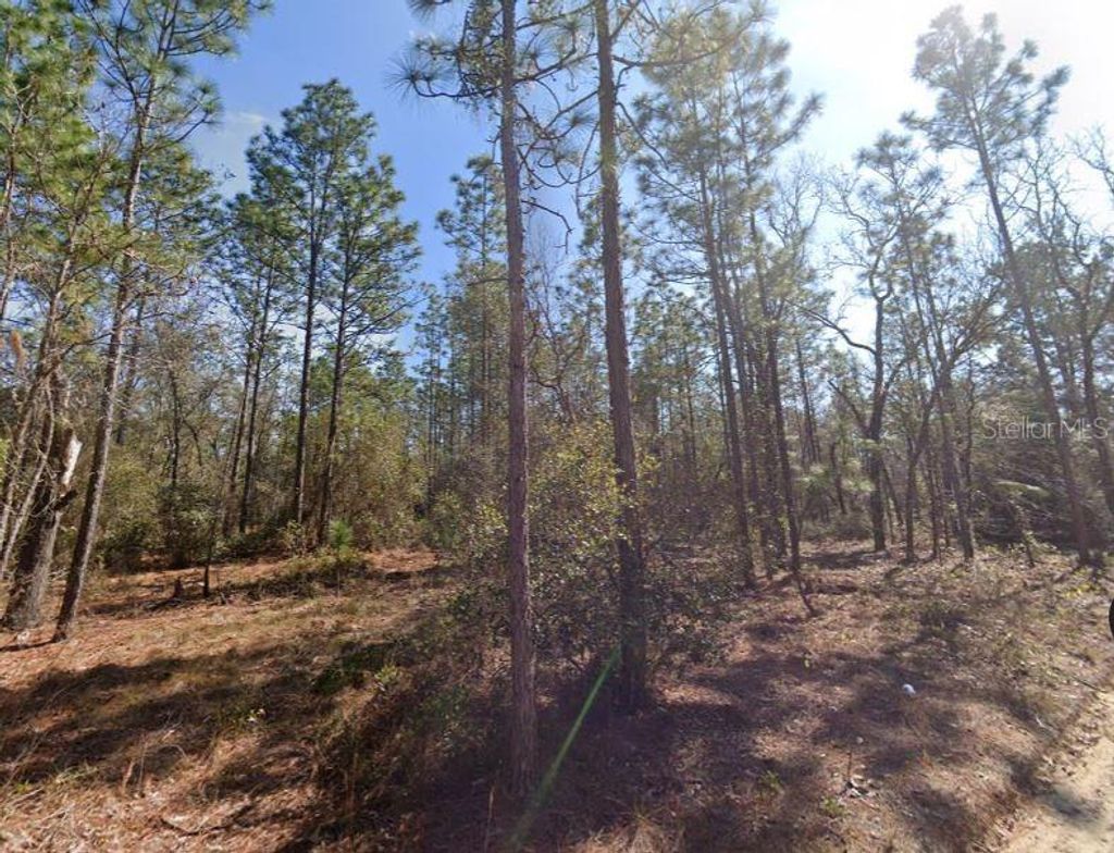 Photo of Hills Road, Melrose, FL 32666 (MLS # A4695418)