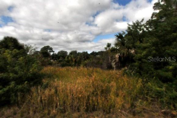 Discover the perfect opportunity to create your own slice of paradise on this spacious 0.23-acre lot located on S Andris St in the thriving city of North Port, Florida (34288). Nestled in a quiet, developing neighborhood with no HOA, this lot offers the ideal setting for a custom-built home, vacation retreat, or investment property.
Conveniently situated with easy access to I-75, shopping centers, restaurants, schools, and just a short drive to beaches, golf courses, and nature parks. North Port is one of the fastest-growing cities in Florida secure your place in this vibrant, up-and-coming community!