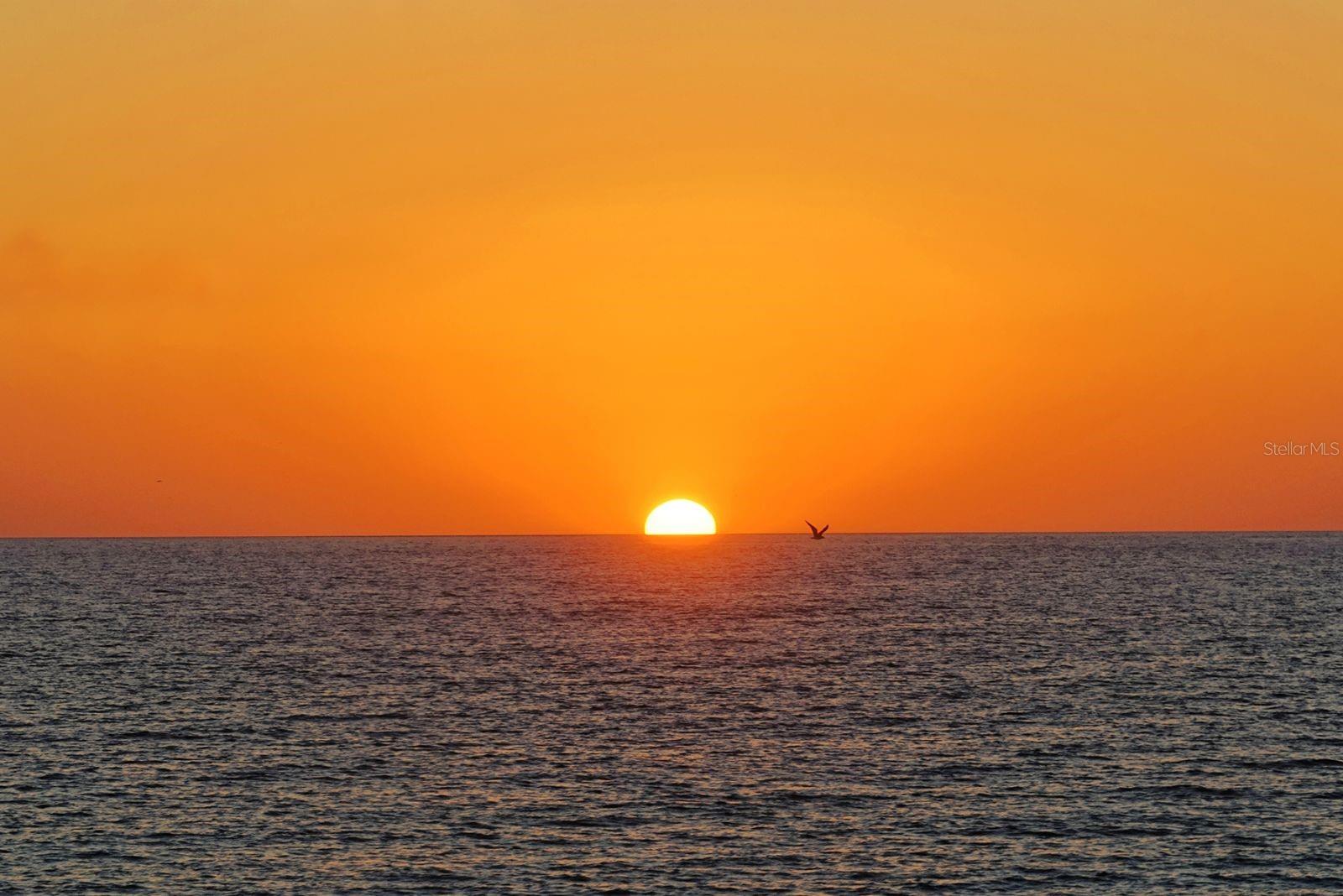 ST ARMAND TOWERS - Residential