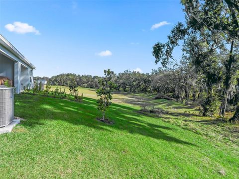 Tiny photo for 1238 Turtle Island Road, Lady Lake, FL 32159 (MLS # G5105887)