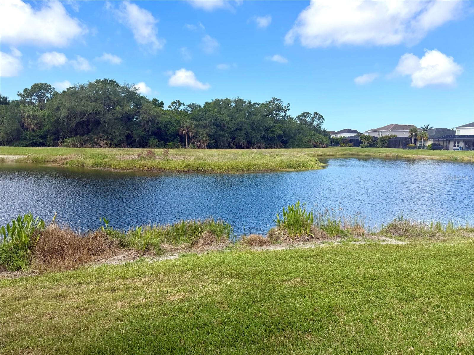 ARBOR LAKES ON PALMER RANCH - Residential