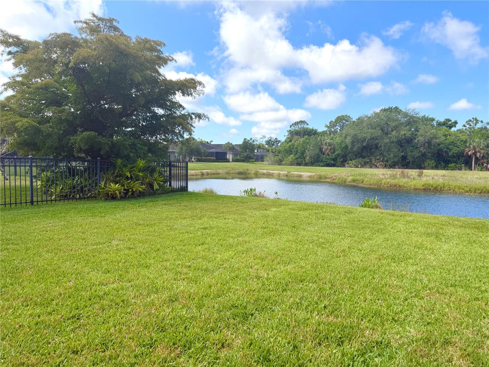 ARBOR LAKES ON PALMER RANCH - Residential
