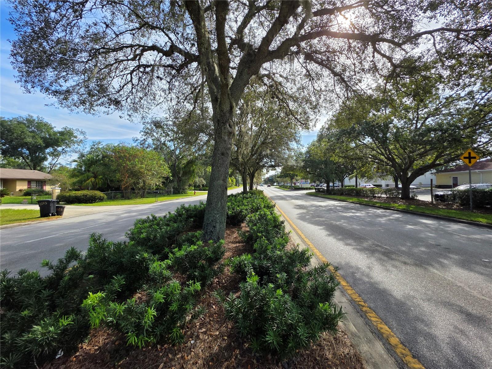 ORANGE BLOSSOM HILLS UN 02 - Land