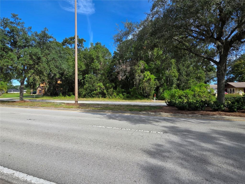 Photo of Tbd Highway 42, Summerfield, FL 34491 (MLS # G5102619)