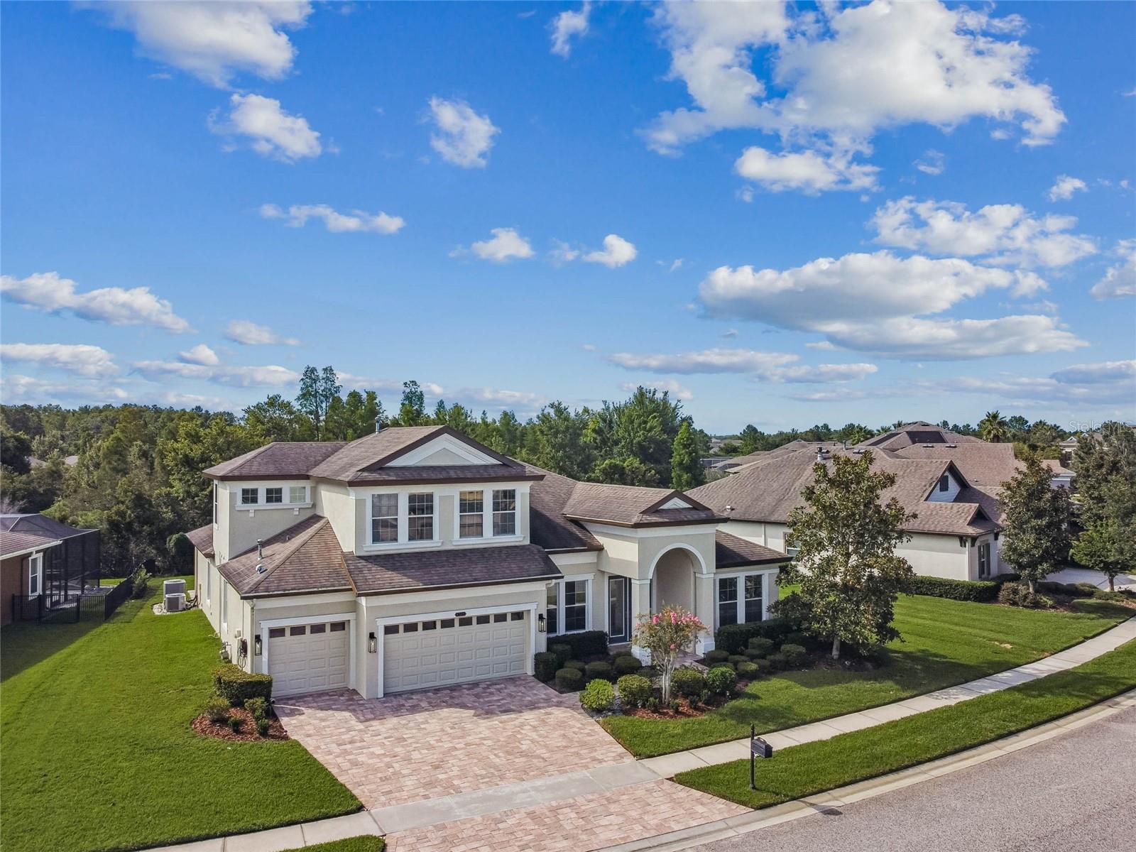8319 SWISS CHARD CIRCLE