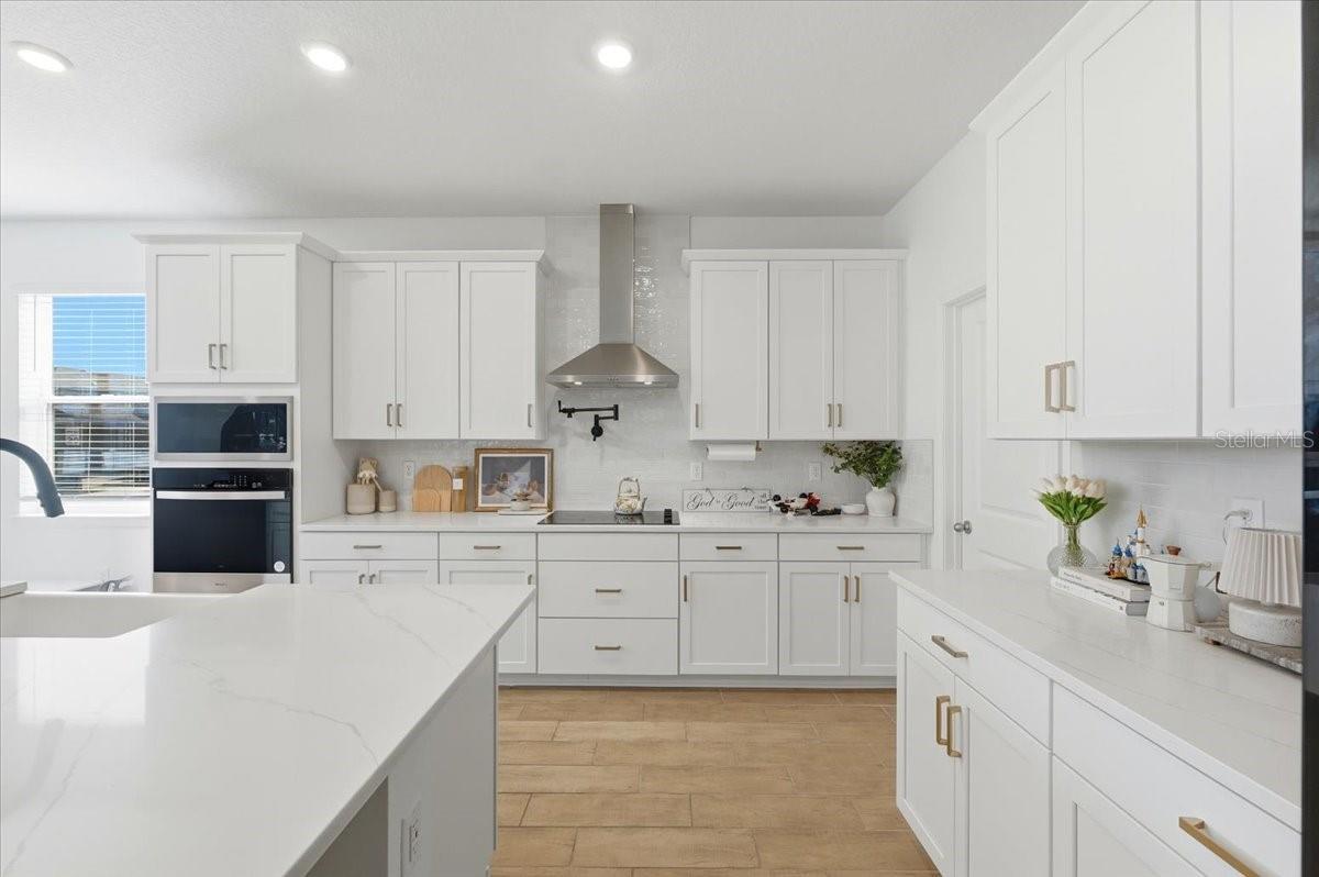 HILLS OF MINNEOLA - Residential