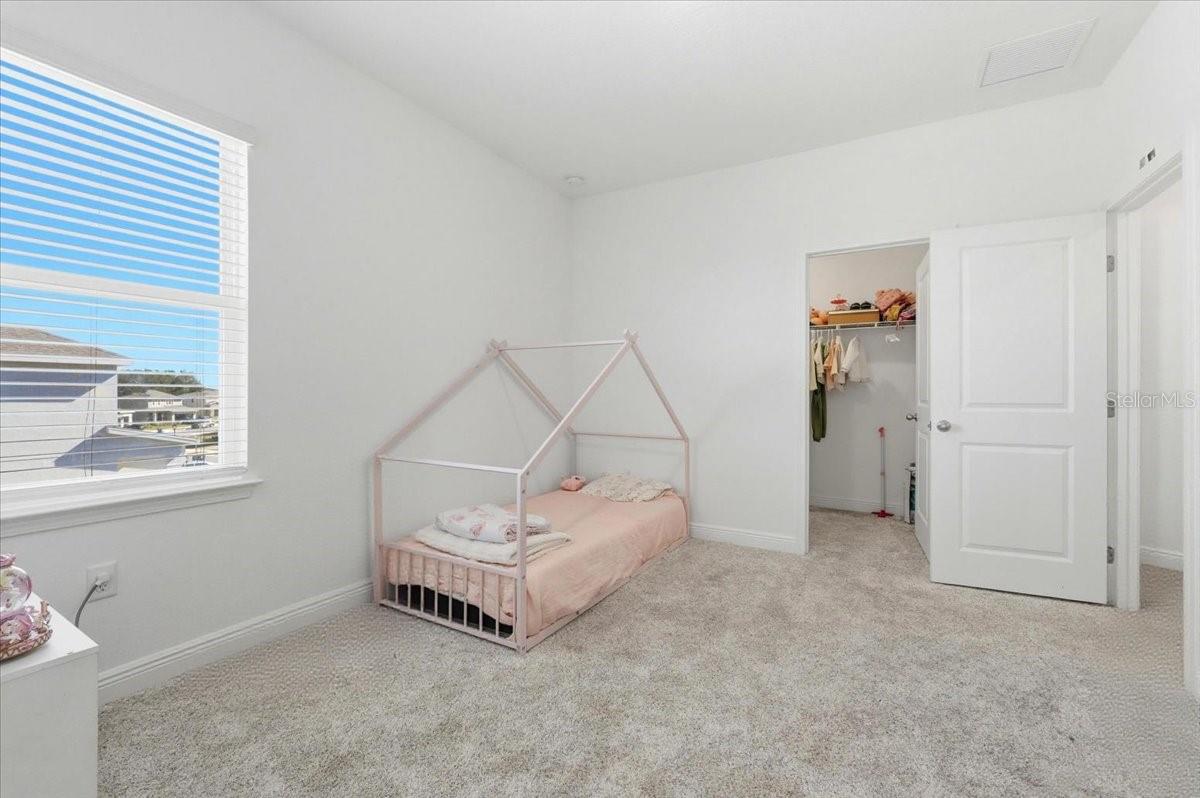 HILLS OF MINNEOLA - Residential