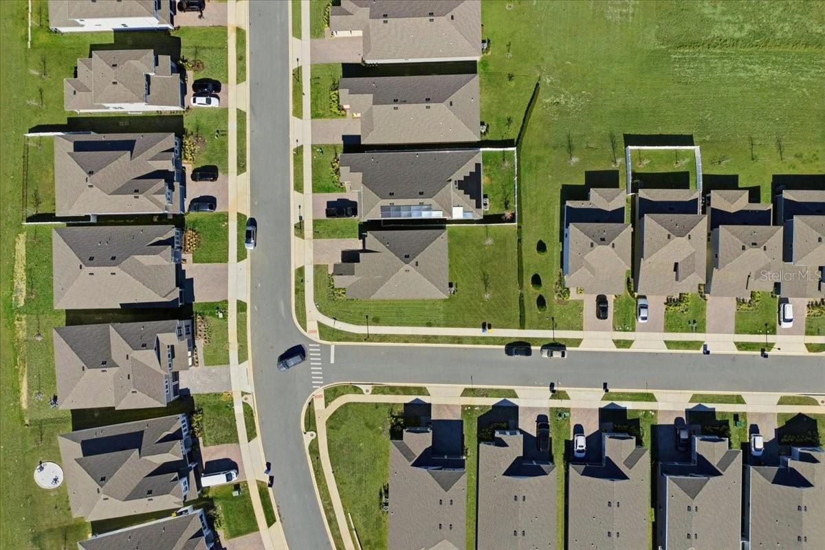 HILLS OF MINNEOLA - Residential