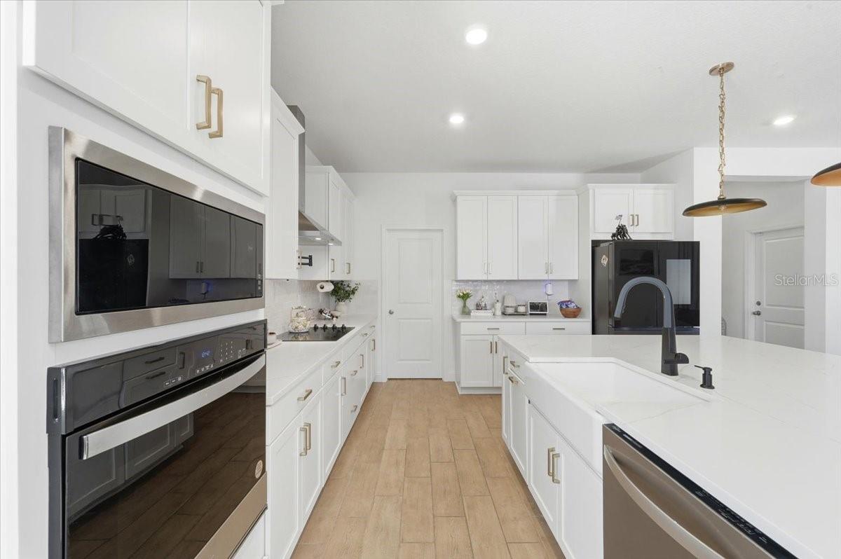 HILLS OF MINNEOLA - Residential