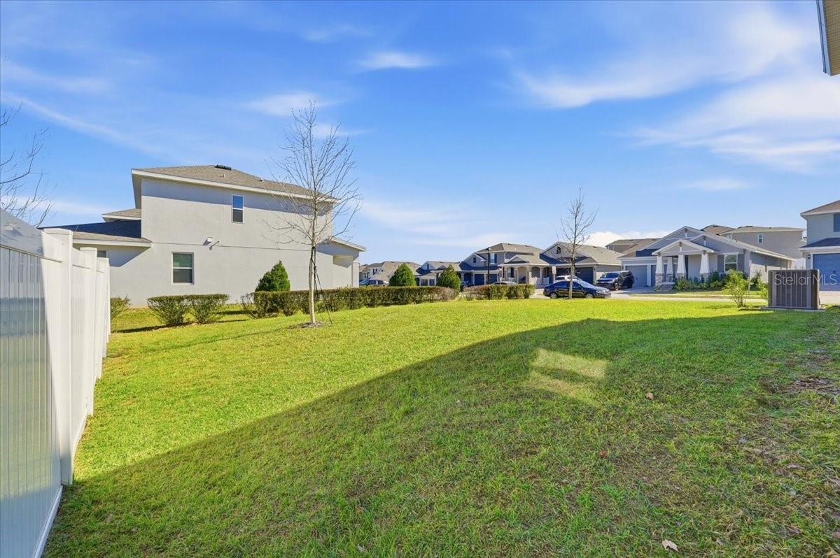 HILLS OF MINNEOLA - Residential