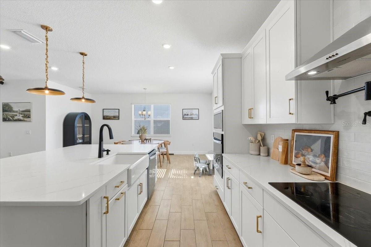 HILLS OF MINNEOLA - Residential