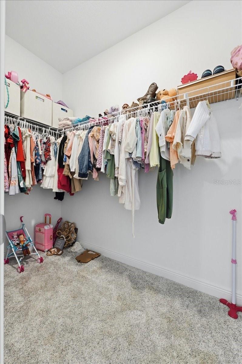 HILLS OF MINNEOLA - Residential