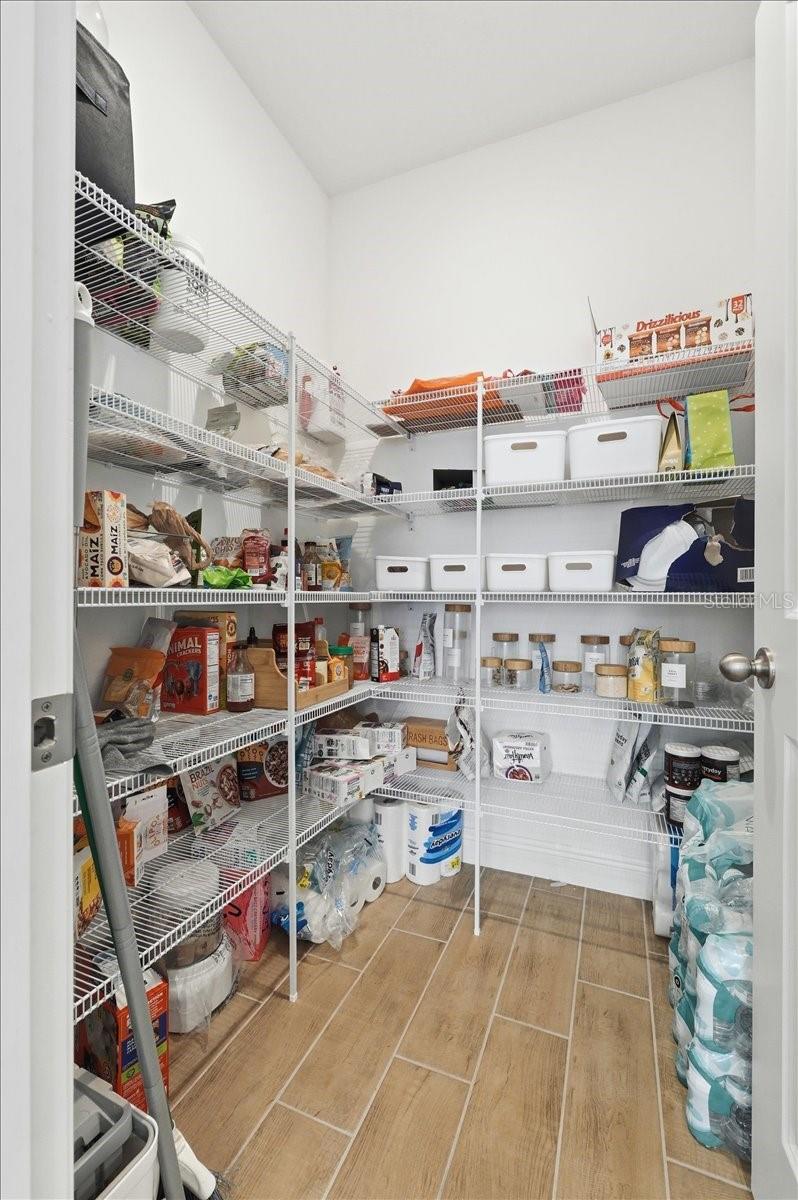 HILLS OF MINNEOLA - Residential