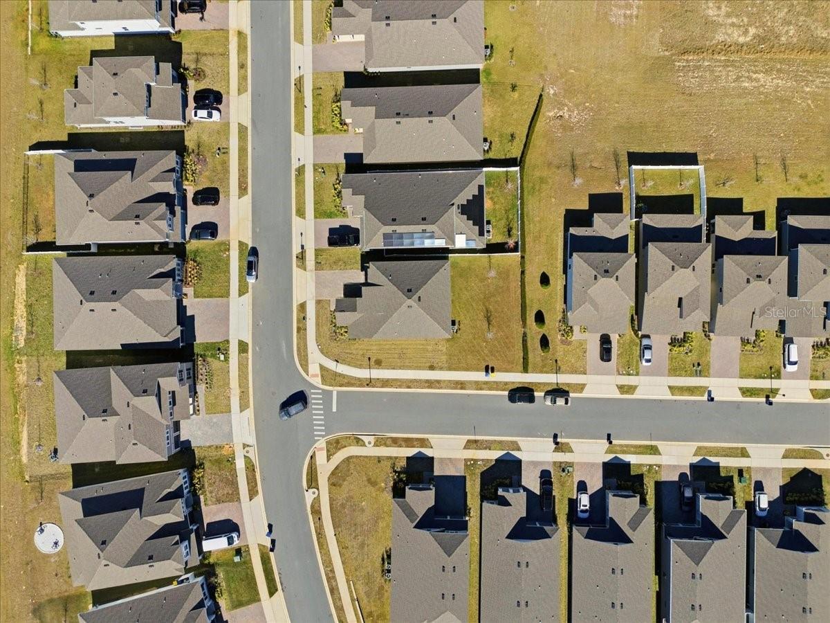 HILLS OF MINNEOLA - Residential