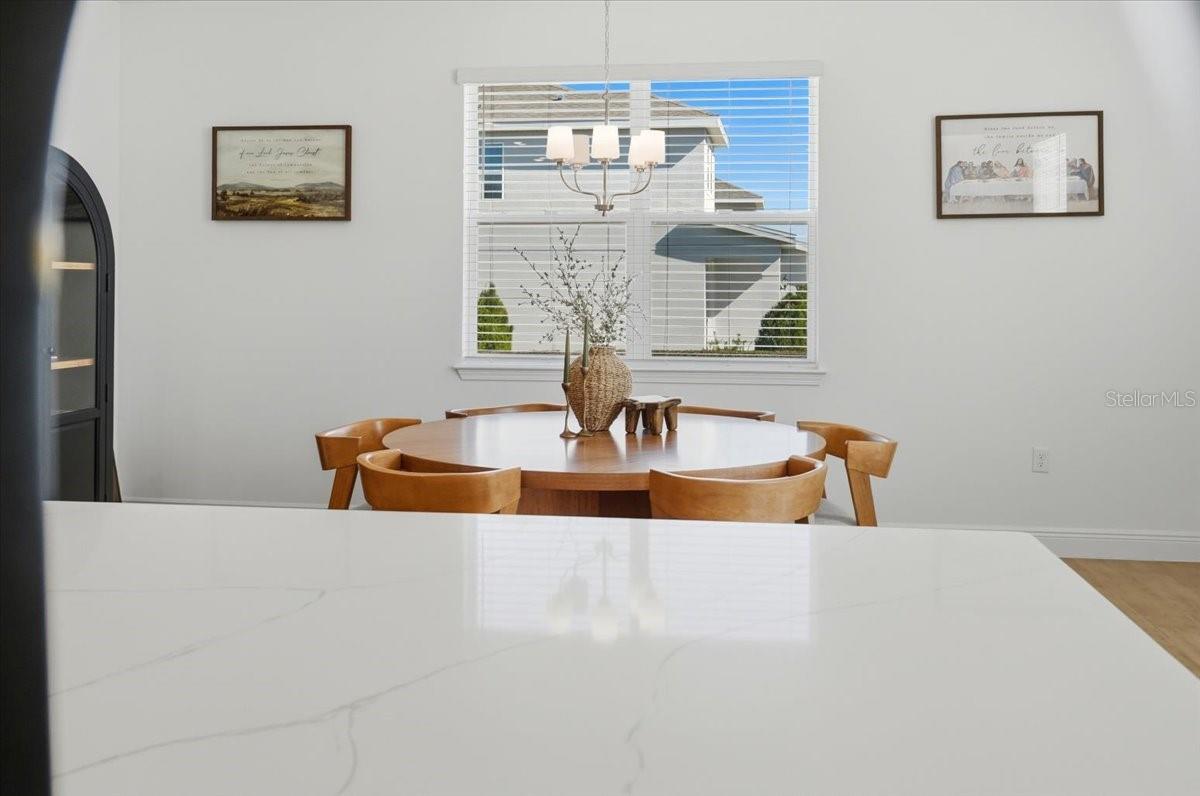 HILLS OF MINNEOLA - Residential