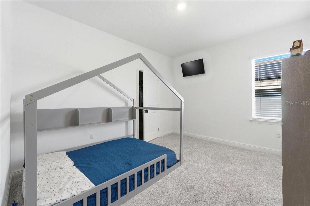 HILLS OF MINNEOLA - Residential