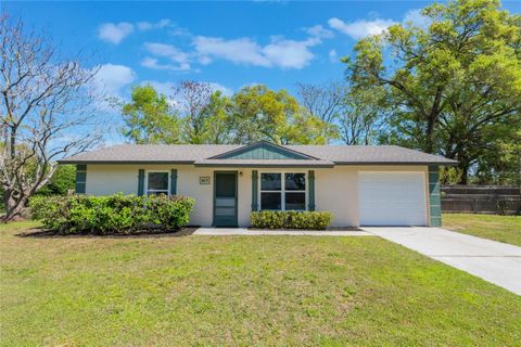 Photo of 913 Jacaranda Drive, Lady Lake, FL 32159 (MLS # O6288980)