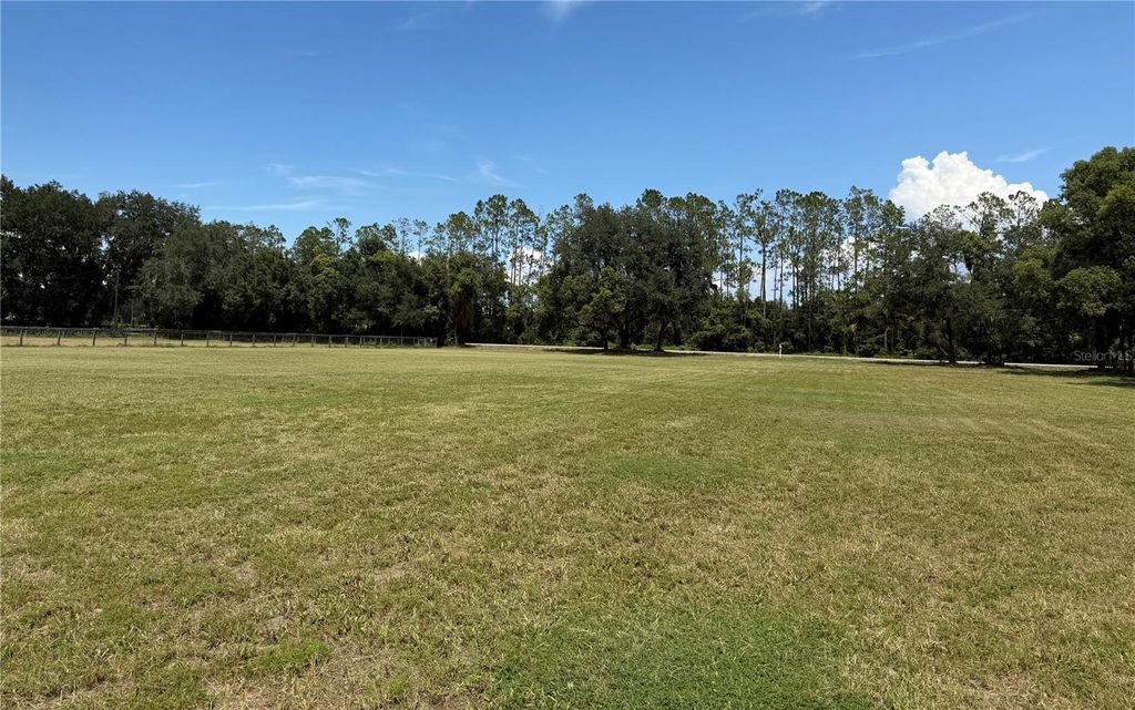 Photo of Bellamy Brothers Boulevard, Dade City, FL 33525 (MLS # TB8427087)