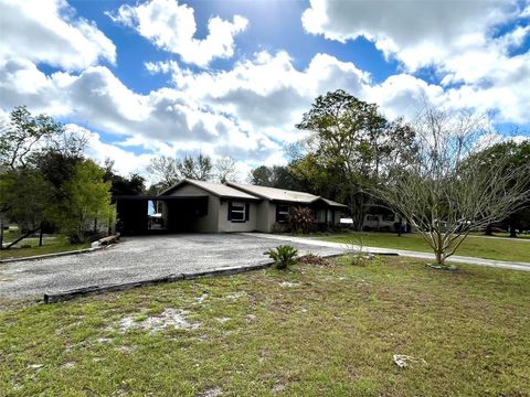 Photo of 4539 Sue Street, De Leon Springs, FL 32130 (MLS # V4947753)