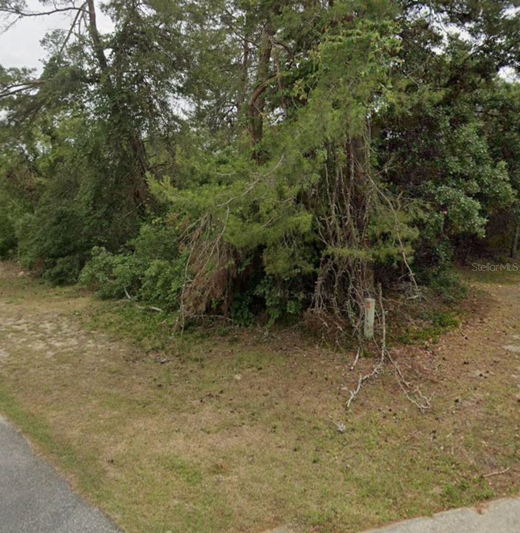 Photo of SW 37th Court, Ocala, FL 34473 (MLS # O6392354)