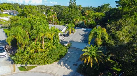 A home in CLEARWATER