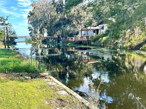 A home in LAKE PANASOFFKEE