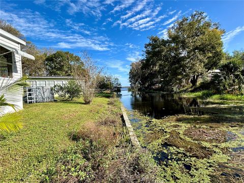 A home in LAKE PANASOFFKEE