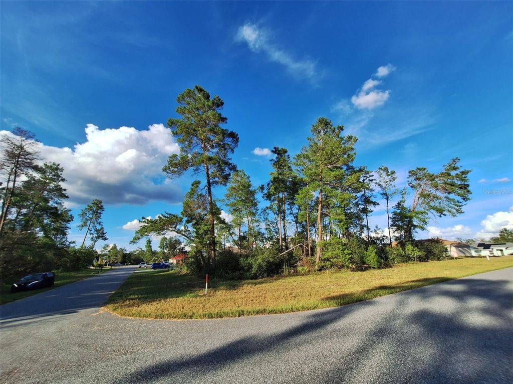 Photo of 0 SW 55 Avemie Road, Ocala, FL 34473 (MLS # OM711172)