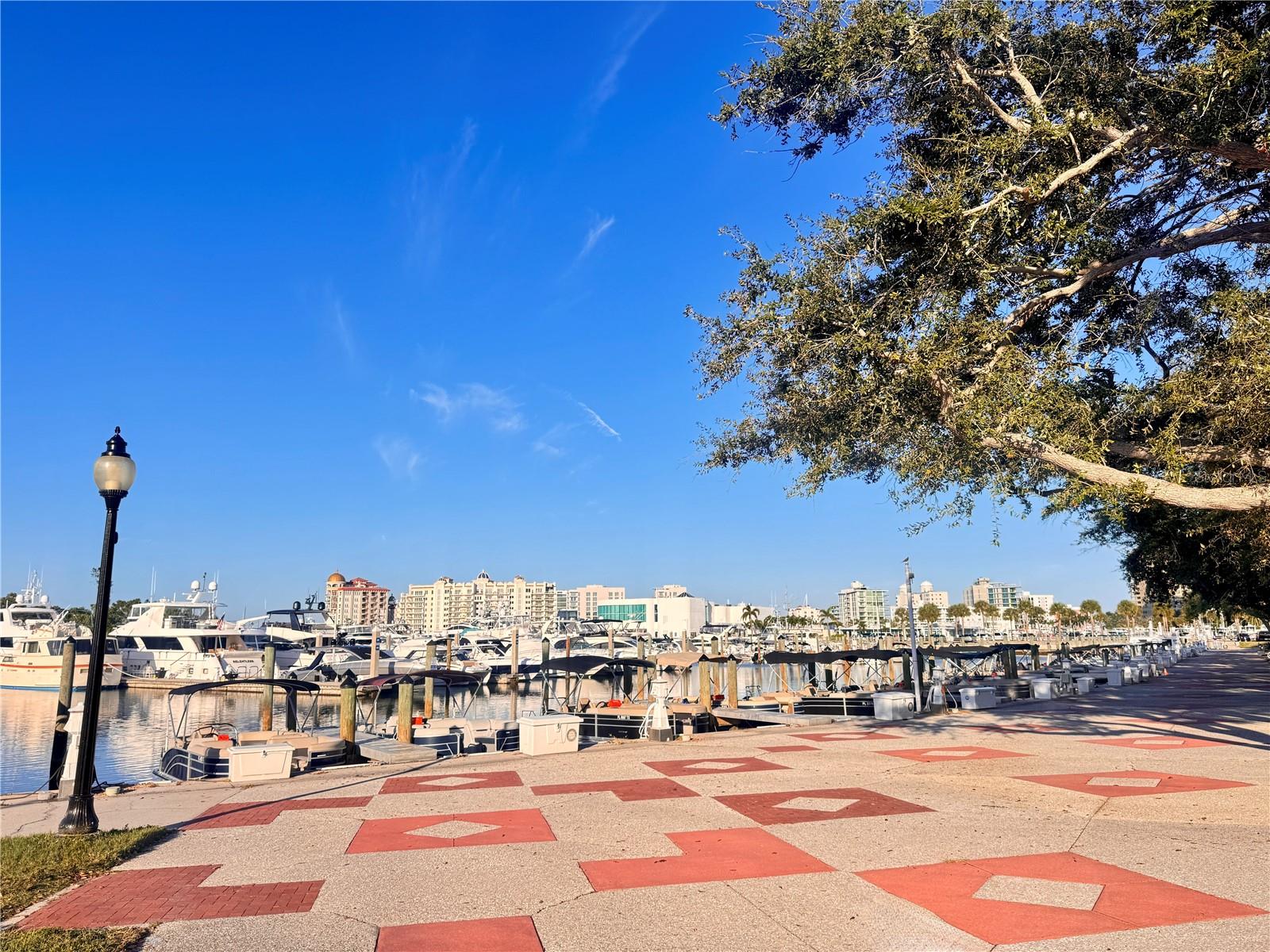 7 ONE ONE PALM - Residential